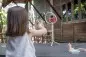 Preview: PlanToys Vlogger-Set Holzspielzeug Kinder personalisiert