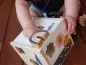 Preview: Tryco - Tier Formen Steckspiel Box - Kinder Sortierbox aus Holz - Personalisiert mit Namen und Geburtstag
